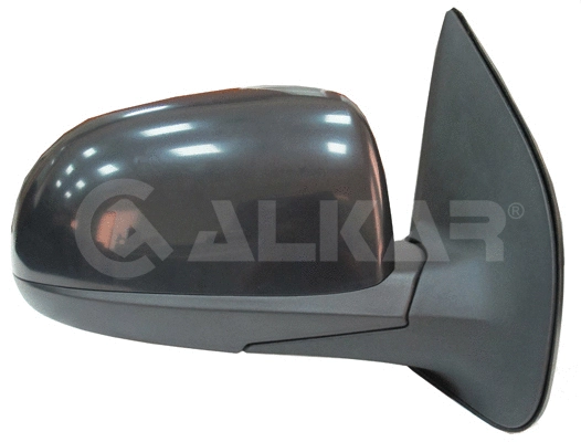 Exterior Mirror (6142618)