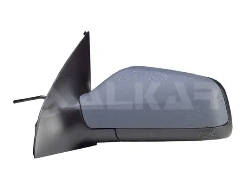 Exterior Mirror (6165437)