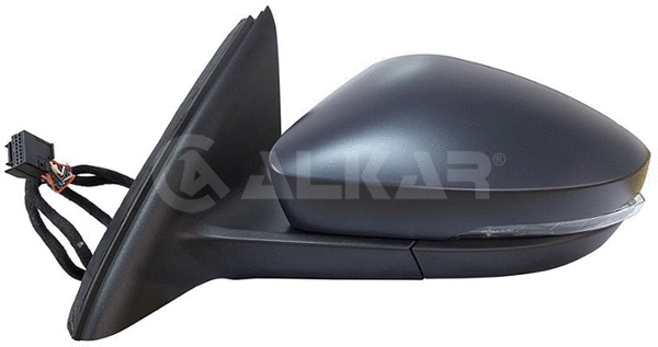 Exterior Mirror (6160561)