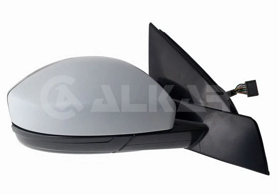 Exterior Mirror (9040055)
