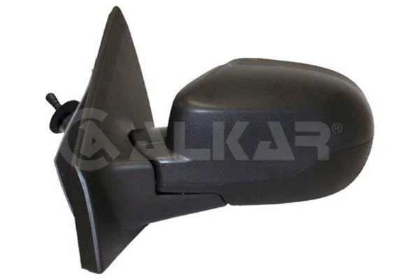 Exterior Mirror (6137176)