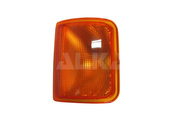 Direction Indicator (9613144)