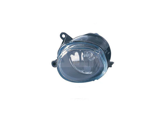 Front Fog Light (2909500)