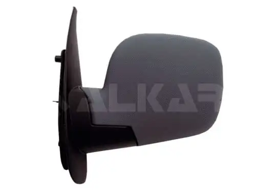 Exterior Mirror (9231160)