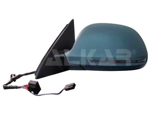 Exterior Mirror (6125781)