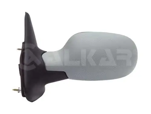 Exterior Mirror (6139219)