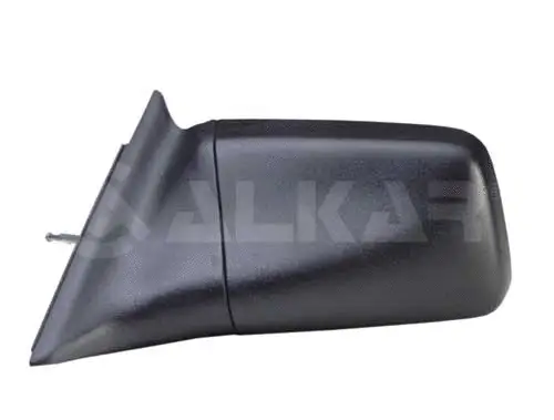 Exterior Mirror (6164435)