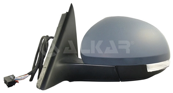 Exterior Mirror (6141611)
