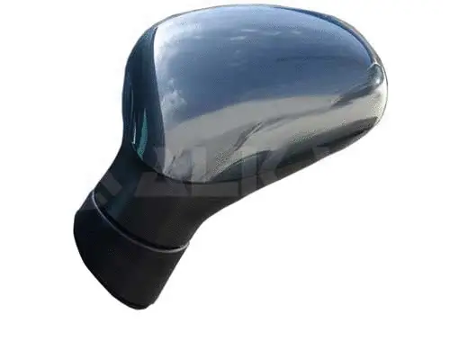 Exterior Mirror (6129095)