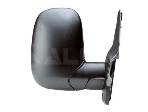 Exterior Mirror (9212959)