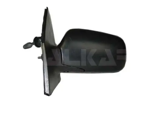 Exterior Mirror (6165269)
