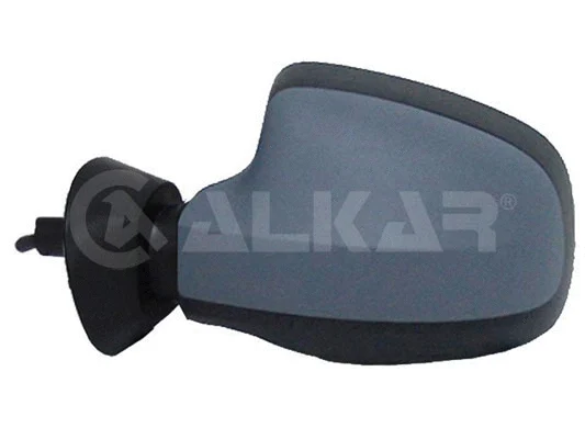 Exterior Mirror (6137594)