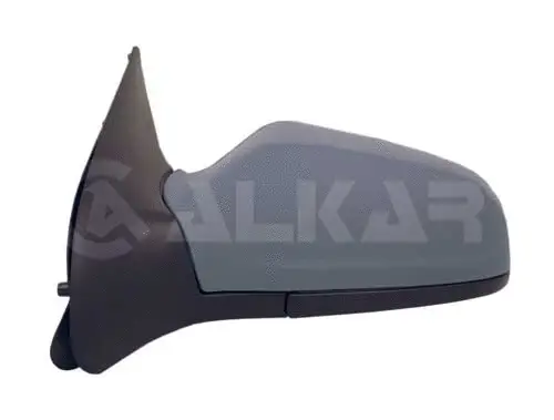 Exterior Mirror (6129439)