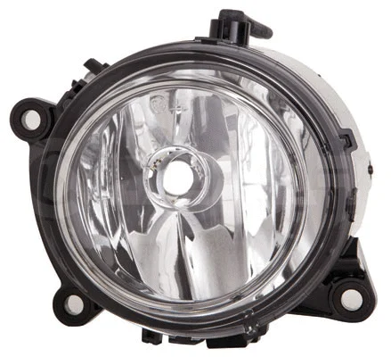 Front Fog Light (9642013)