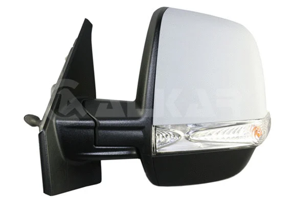 Exterior Mirror (9257929)