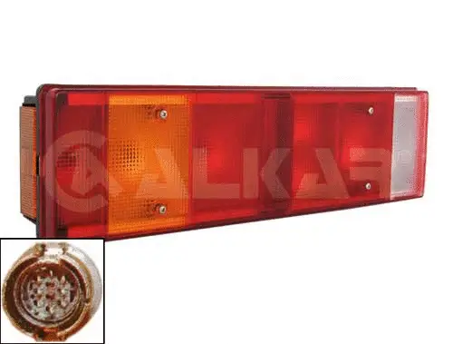 Tail Light Assembly (9731009)