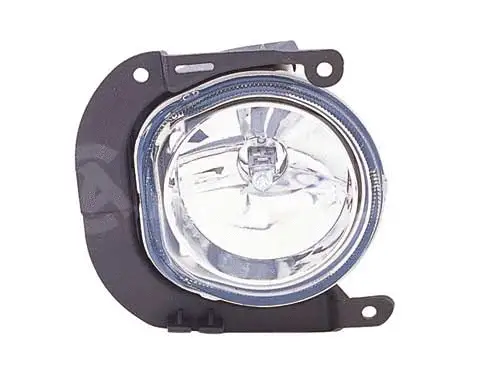 Front Fog Light (2901351)