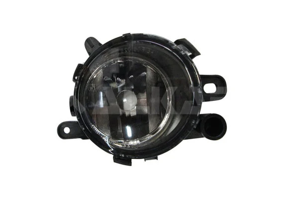 Front Fog Light (2932439)
