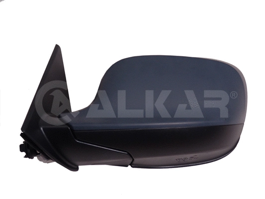 Exterior Mirror (9041885)