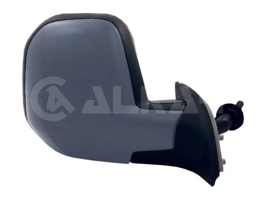 Exterior Mirror (9238998)