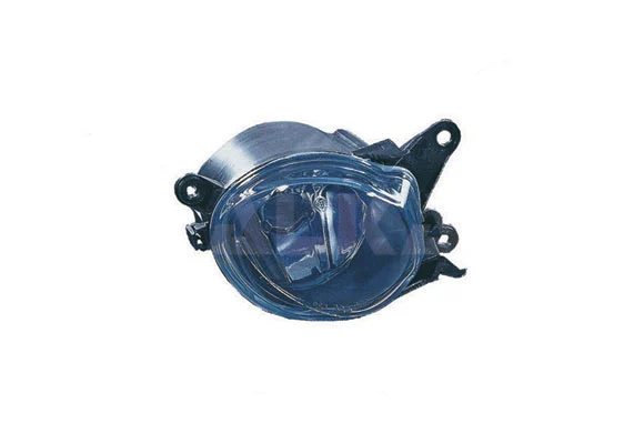 Front Fog Light (2906505)
