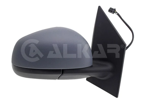 Exterior Mirror (6140199)