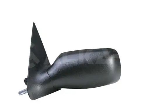 Exterior Mirror (6125409)