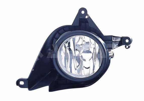 Front Fog Light (2906943)