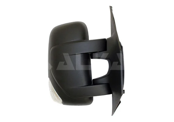 Exterior Mirror (9202907)