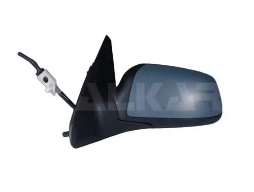 Exterior Mirror (6137378)