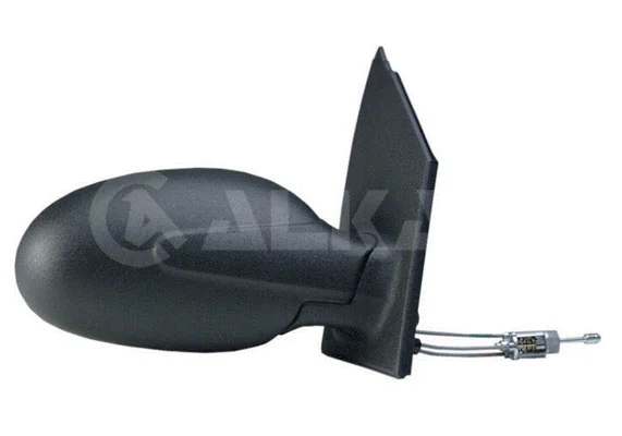 Exterior Mirror (6165010)