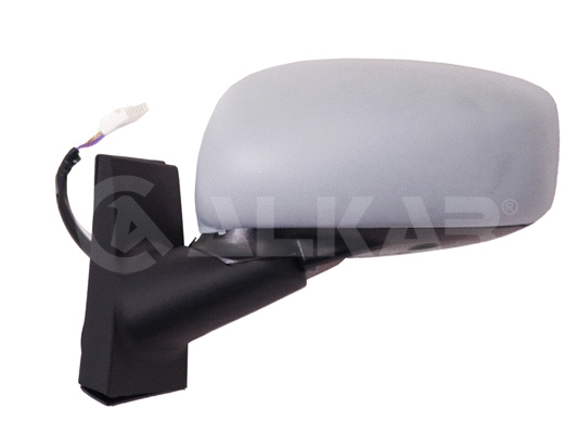 Exterior Mirror (9240932)