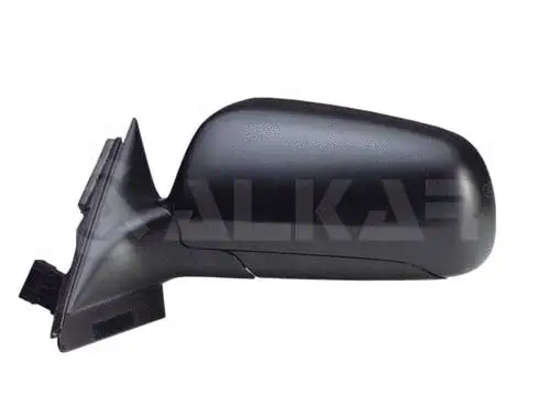 Exterior Mirror (6125502)