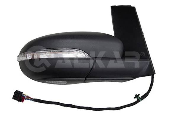 Exterior Mirror (9024146)