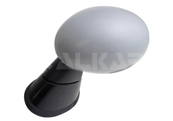 Exterior Mirror (6139837)