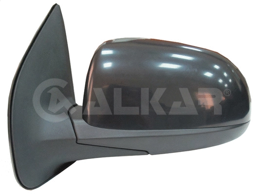 Exterior Mirror (6129618)