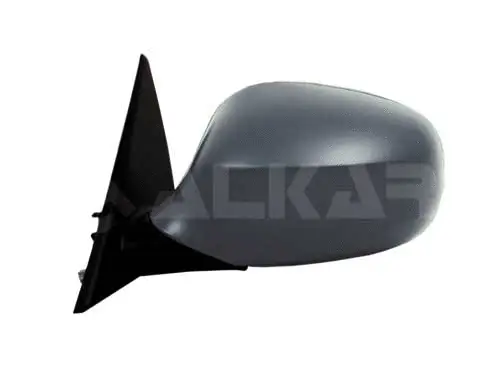 Exterior Mirror (6139861)