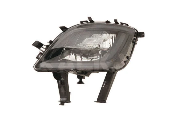 Front Fog Light (2911439)