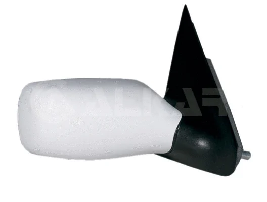 Exterior Mirror (6140409)