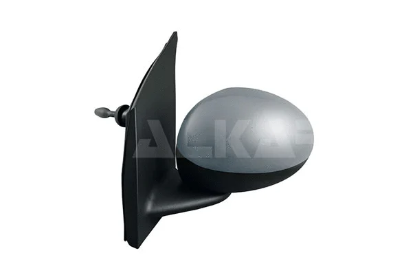 Exterior Mirror (6101857)