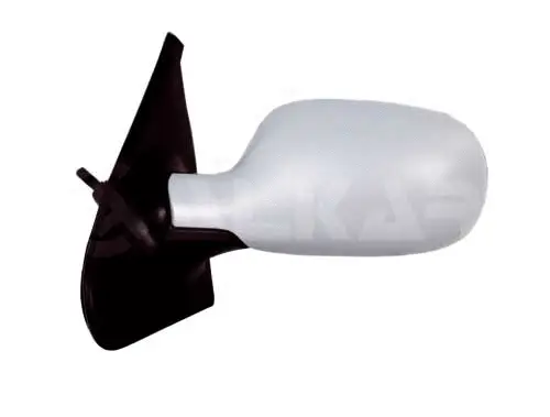 Exterior Mirror (6137173)