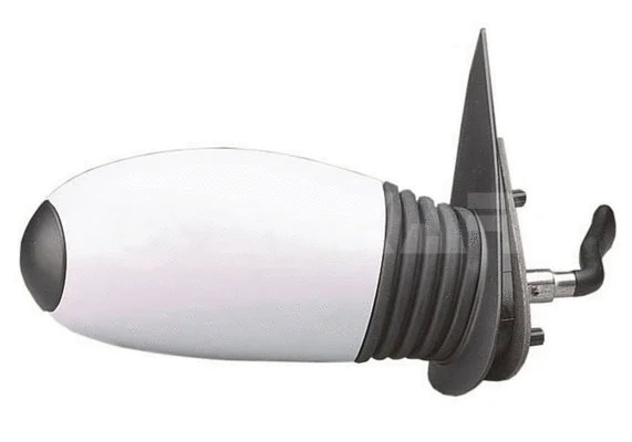 Exterior Mirror (6165011)