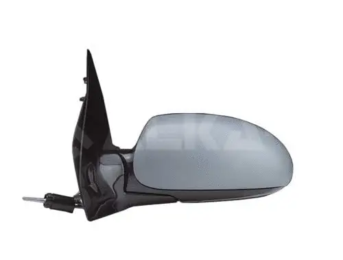 Exterior Mirror (6138399)