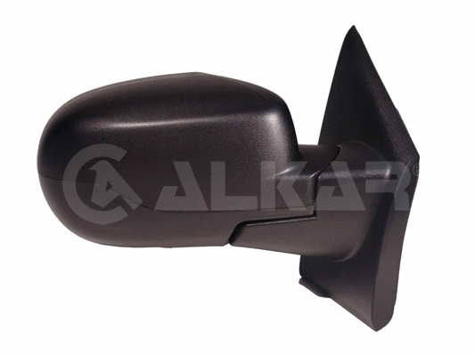 Exterior Mirror (6126177)