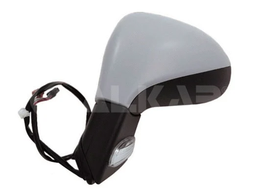 Exterior Mirror (6131284)