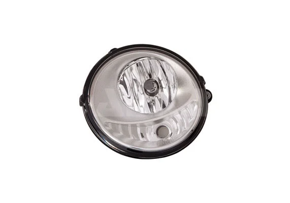 Front Fog Light (2901171)