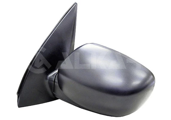 Exterior Mirror (6128617)