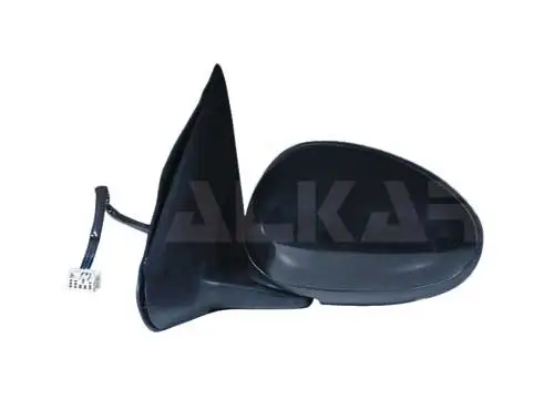Exterior Mirror (6125512)