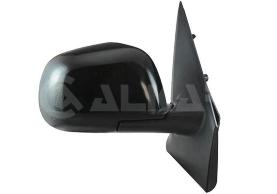 Exterior Mirror (6165646)