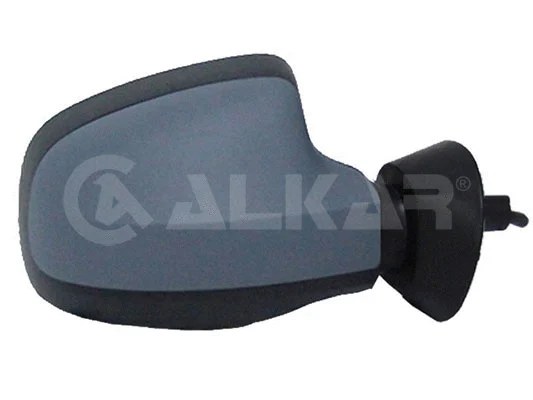 Exterior Mirror (6138594)